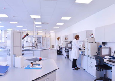 ����ϣ�������������ҽ��ʵ���������������������徲����